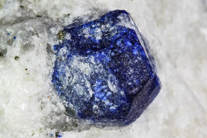 Lazurite and Pyrite in Marble Matrix - Afghanistan #111769